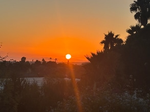 Building Photo - 315 Osborne St