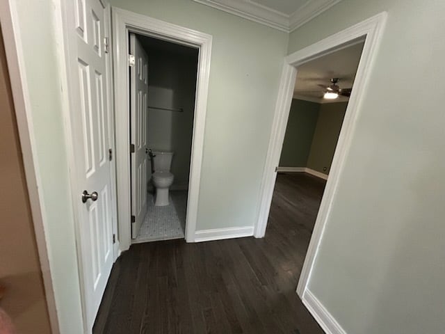 Building Photo - 1435 Marlborough Rd