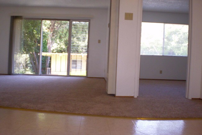 One bedroom Interior - Leisure Terrace Apartments