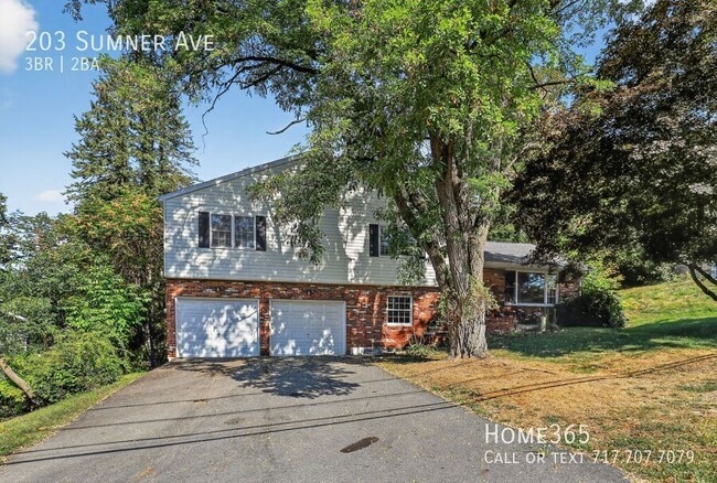 Primary Photo - 203 Sumner Ave