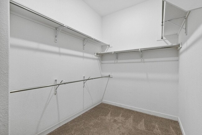 Building Photo - 1305 Swan Trl