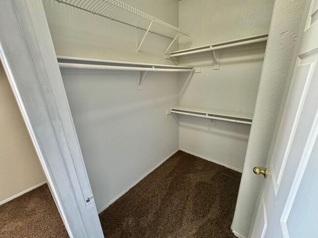 Building Photo - **BEAUTIFUL 3 BEDROOM, 2 BATHROOM DOWNSTAI...