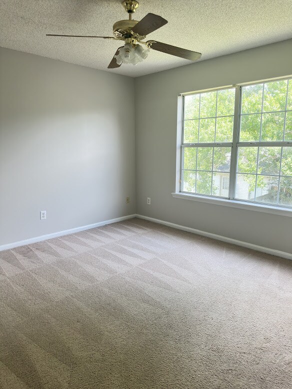 Building Photo - 339 Brookfield Rd