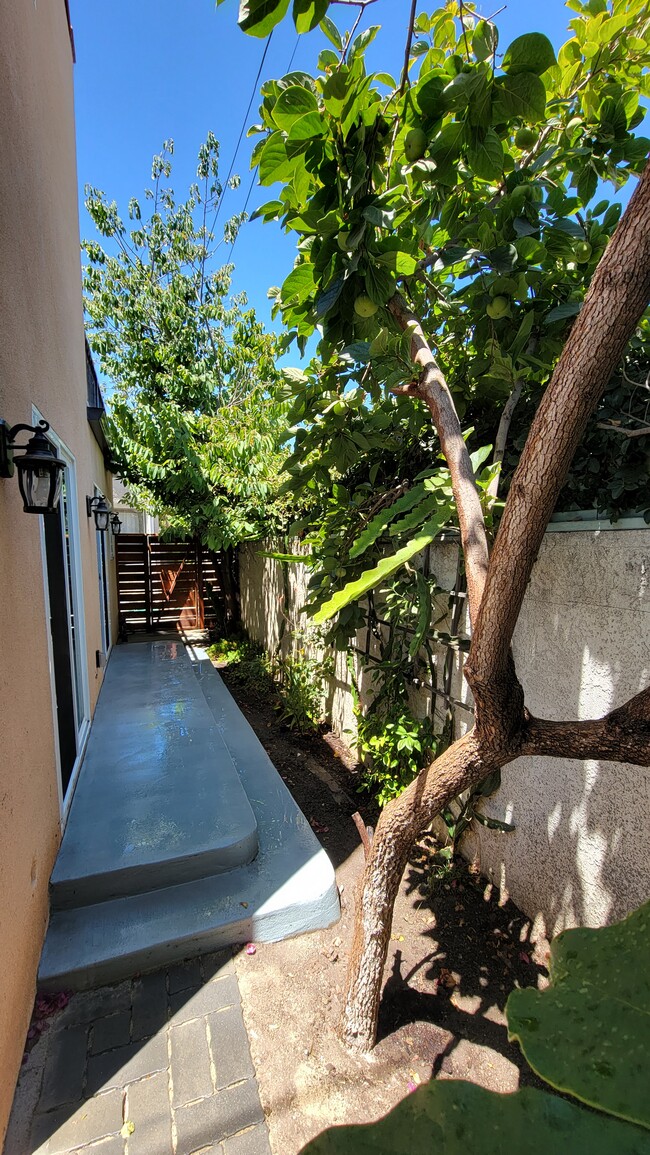 Outside Patio - 5717 Airdrome St