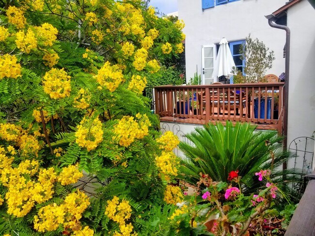 Building Photo - Your Own World in La Jolla! - One-Of-A-Kin...