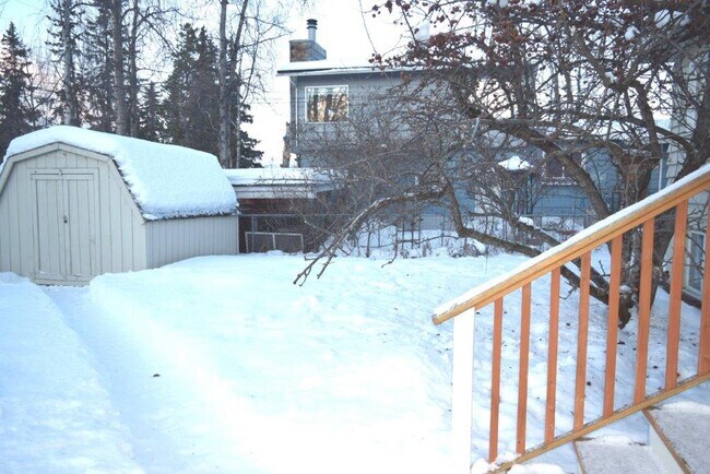 yard - 720 Dogwood St