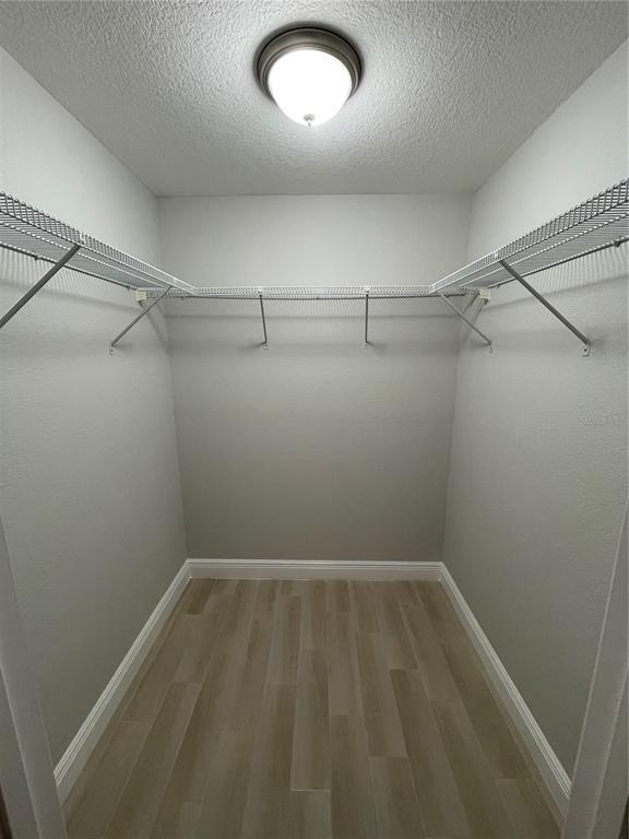 Building Photo - 3178 Shingle Creek Ct