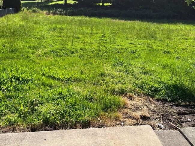 Building Photo - Newly remodeled 2 bedroom 1 bath duples