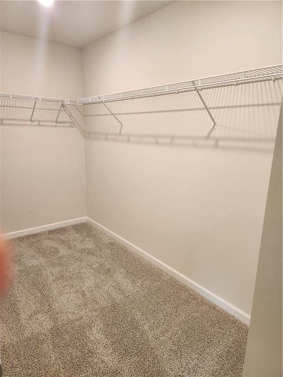 Building Photo - 2576 Double Oak Trl