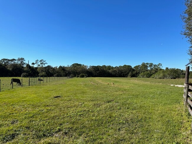 Building Photo - 4502 Wild Turkey Trail