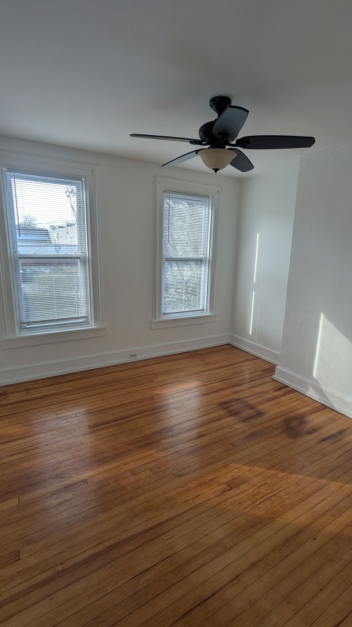 Building Photo - 136 Dove St