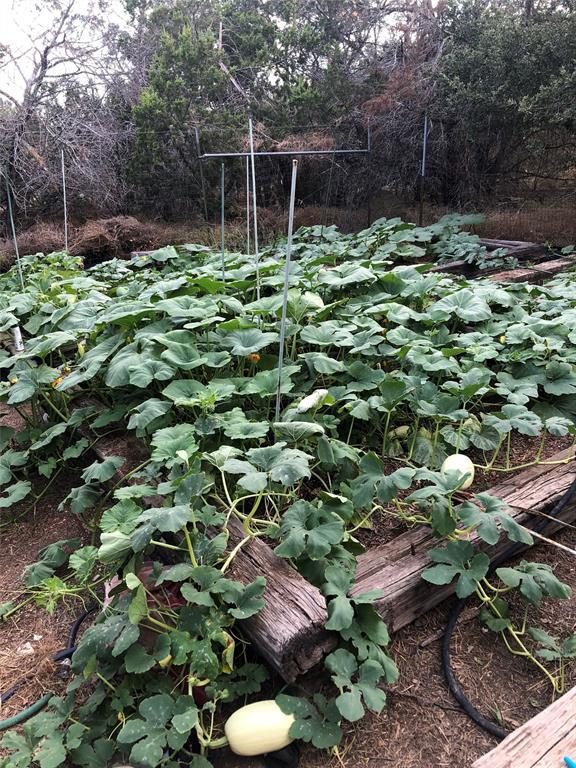 Building Photo - 10501 Hill Country Skyline