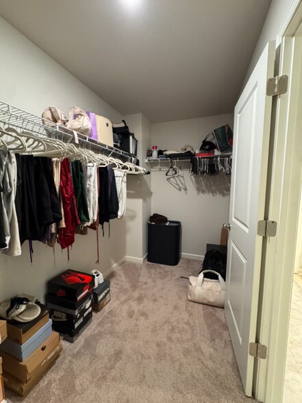 Building Photo - 2945 Cottage Ln