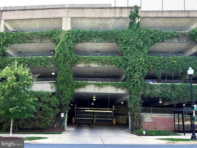 Building Photo - 2465 Army Navy Dr