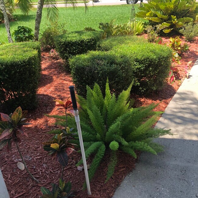 Building Photo - 7103 Montreal Dr