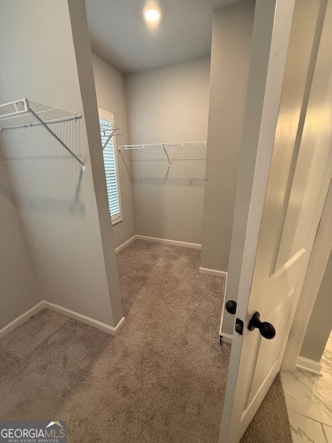 Building Photo - 123 Weeping Moss Way