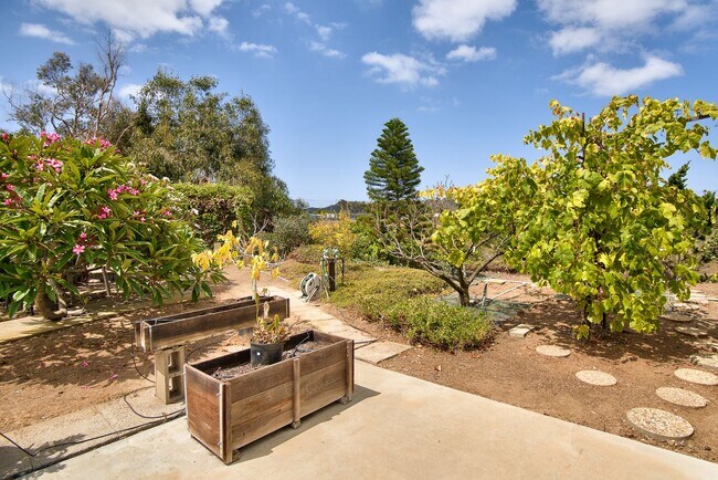 Building Photo - Spacious 4-bedroom, 2-bathroom home in coveted University City