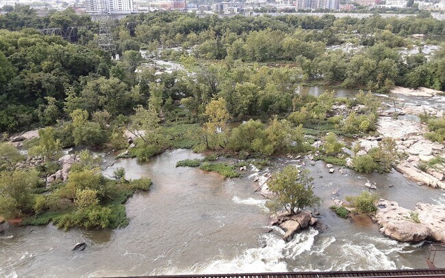 Building Photo - One Bedroom Condo Overlooking the James River in Richmond