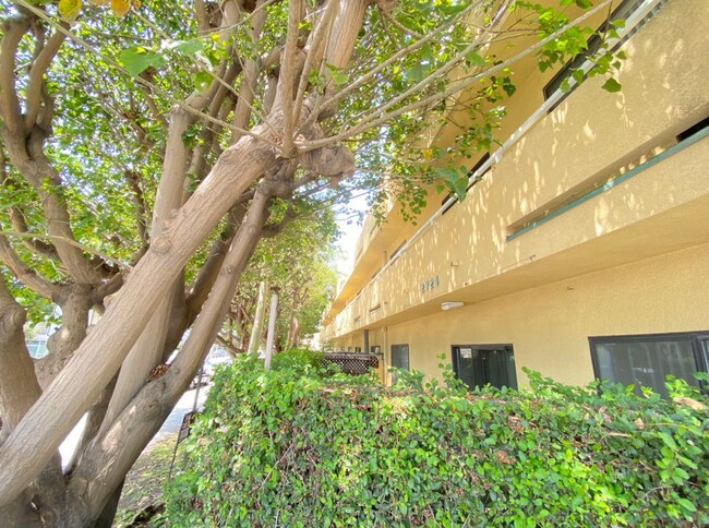 Building Photo - 2724 Abbot Kinney Blvd