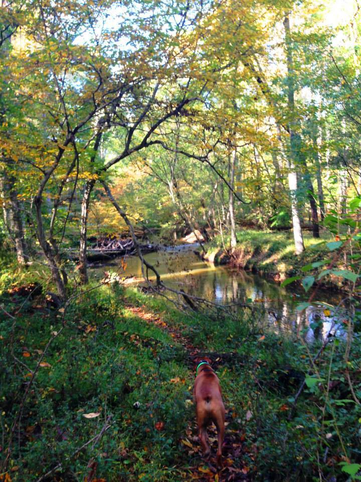 Building Photo - 500 Meadow Hall Dr