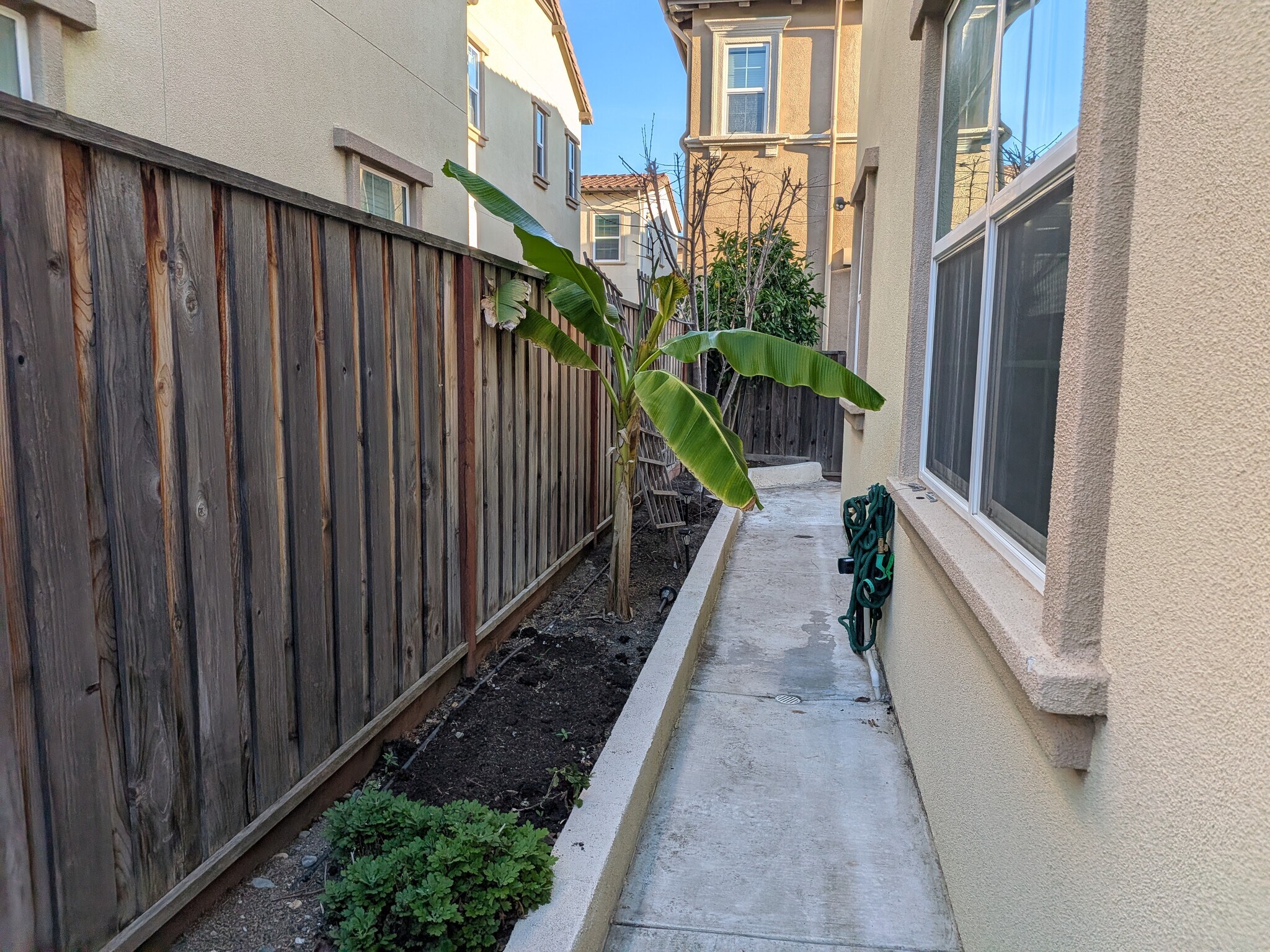 side yard - 427 Silvercrown Way