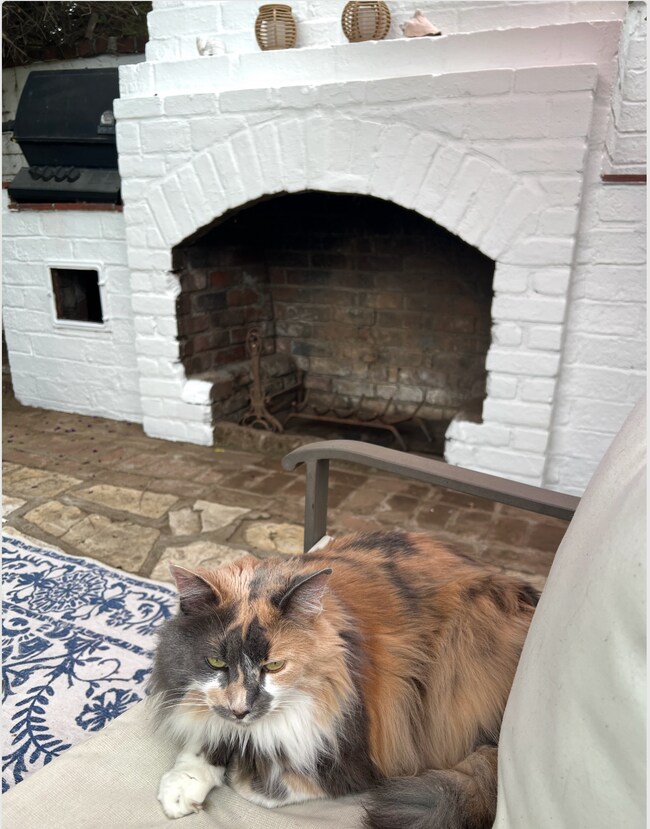 Outdoor patio and fireplace with BBQ - 533 N Mission Dr