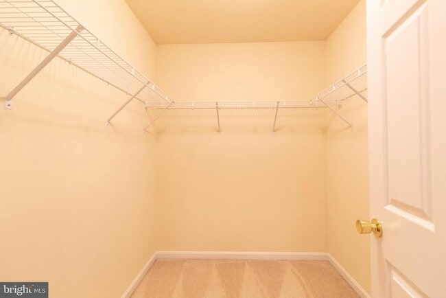 Building Photo - 8401 Hollow Tree Ln