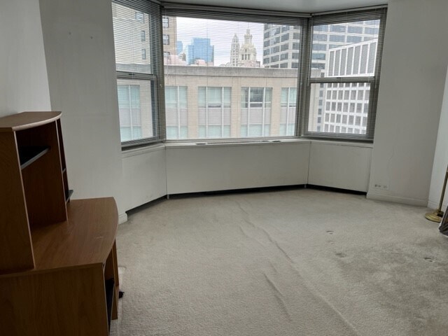 Building Photo - 535 N Michigan Ave
