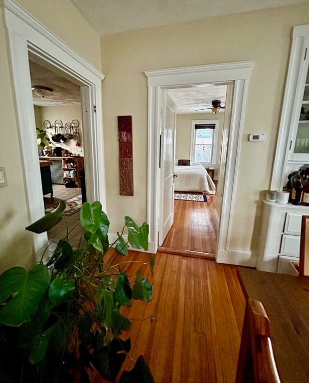 Building Photo - 11 Heath St