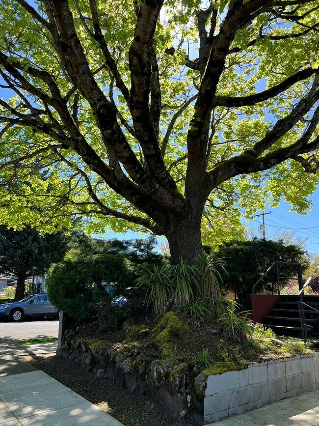 Building Photo - PENDING APPLICATIONS - RICHMOND ONE BEDROOM AVAILABLE FOR IMMEDIATE MOVE-IN - SEE LISTING FOR SPE...