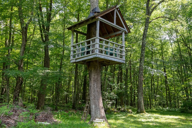 Building Photo - 40 Camps Flat Rd