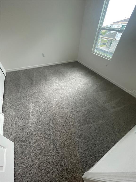 Building Photo - 1313 Blazing Star Ln