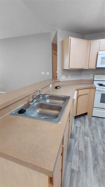 Building Photo - 2000 Erving Cir