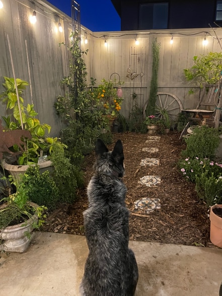 Building Photo - 2216 1/2 Motta St