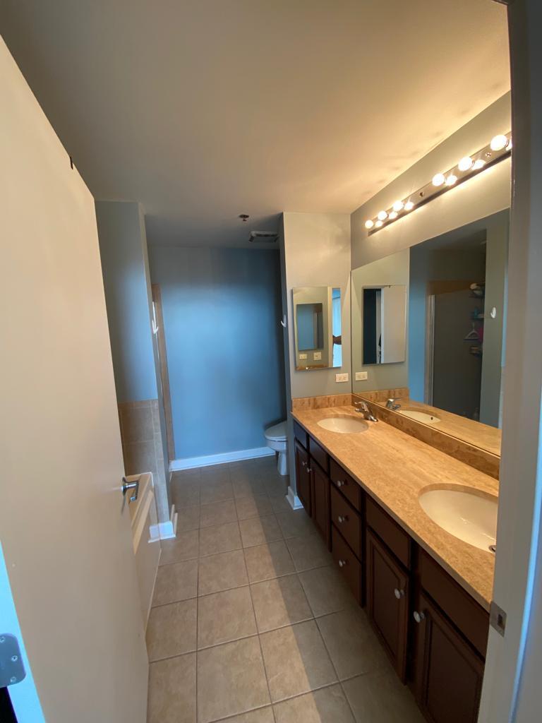 Master Bath - 1305 S Michigan Ave
