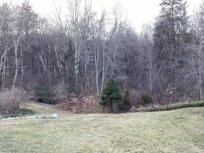 Building Photo - 40 Chestnut Hill Rd