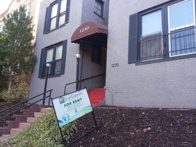 Building Photo - Cap Hil Adorable 1 Bedroom Available Now! 1/2 off 1 months rent!!!