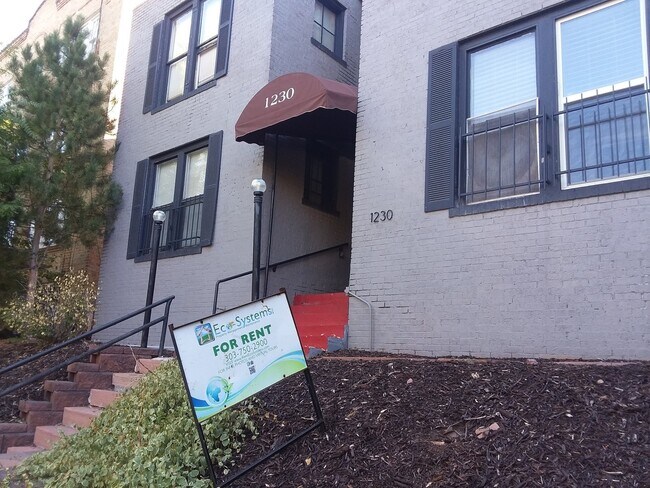 Building Photo - Cap Hil Adorable 1 Bedroom Available Now!