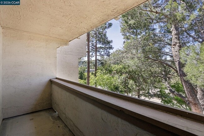 Building Photo - 1541 Moraga Way