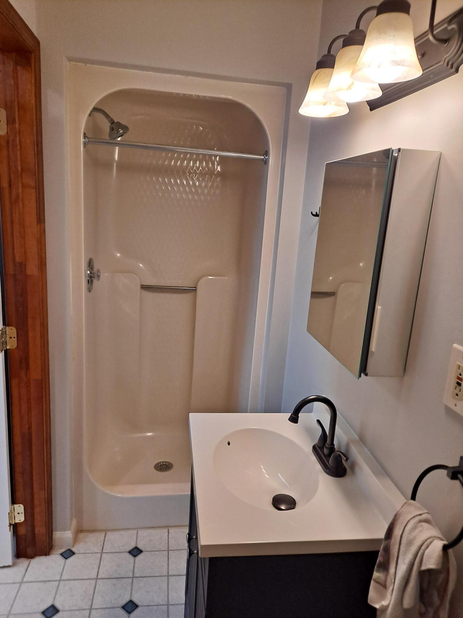 1st floor bath - 837 W Liberty St