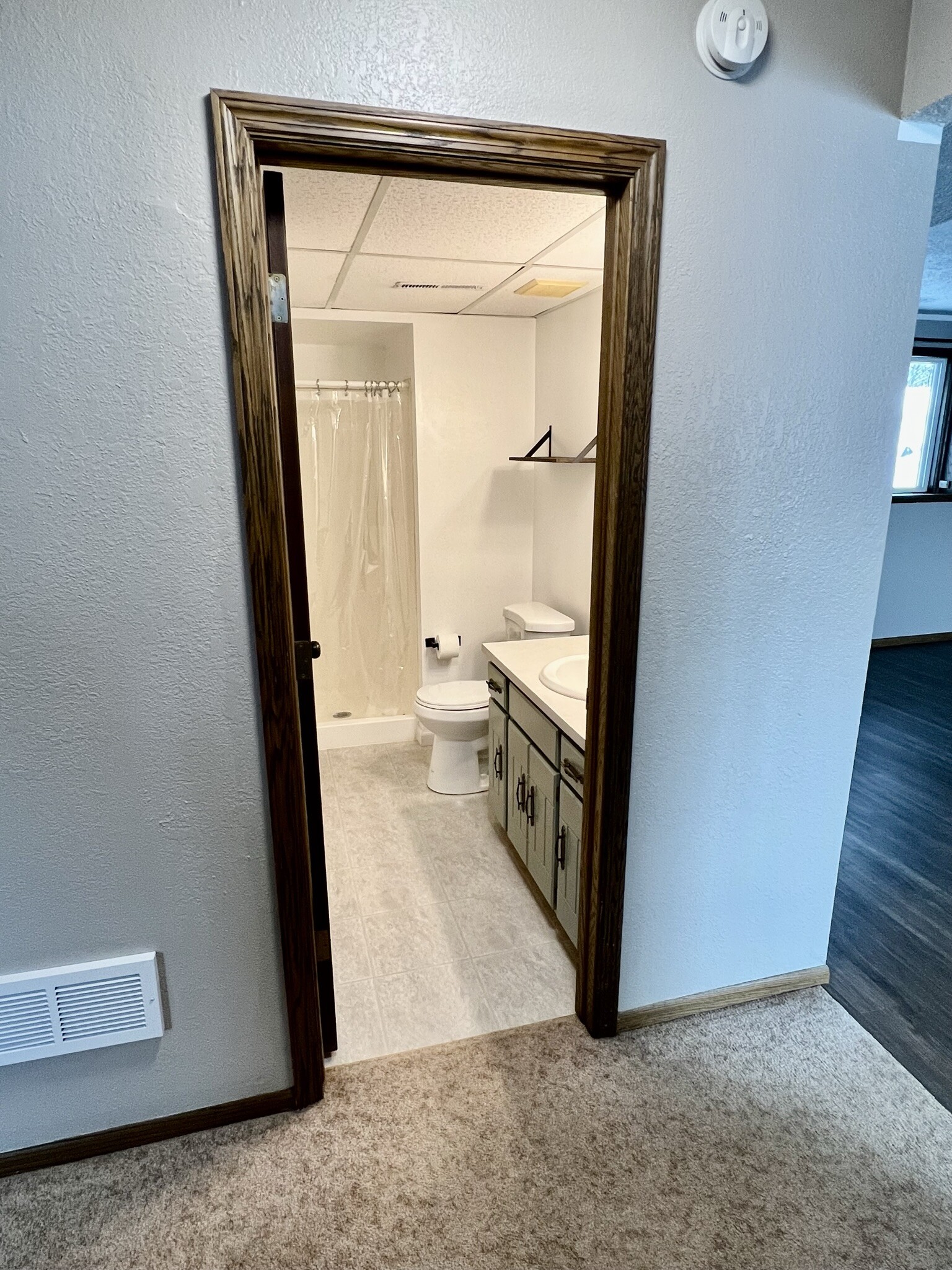 downstairs bathroom - 1428 12th Ave N