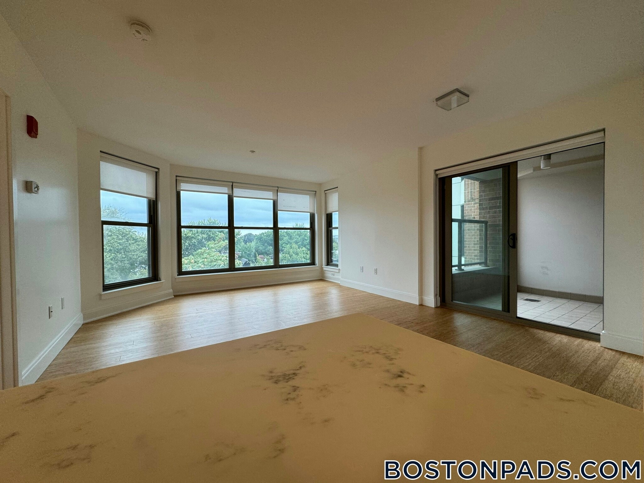 Building Photo - 40 Malvern St