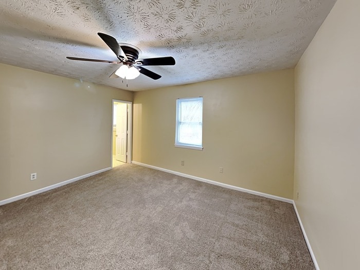 Building Photo - 3599 Mansfield Ln