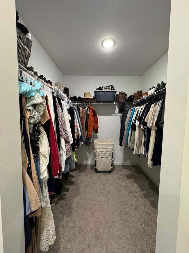 Building Photo - 3704 Stone St