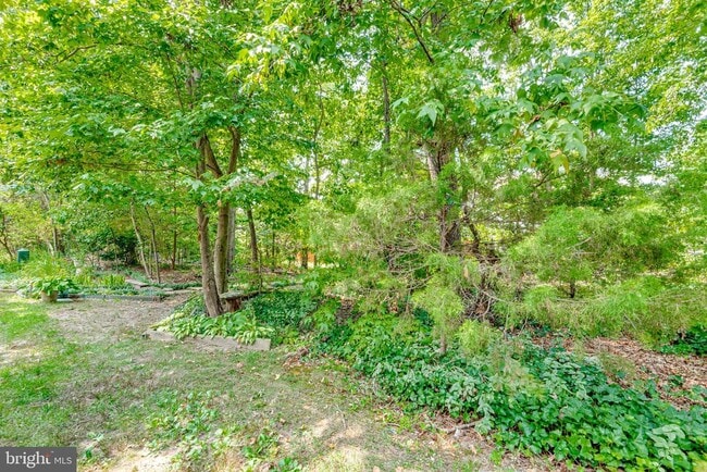 Building Photo - 8508 Blue Bird Woods Ct
