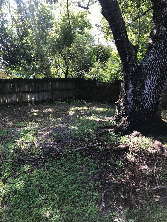 Building Photo - 3 BEDROOM 1 BATH HOME - NEW PORT RICHEY FL