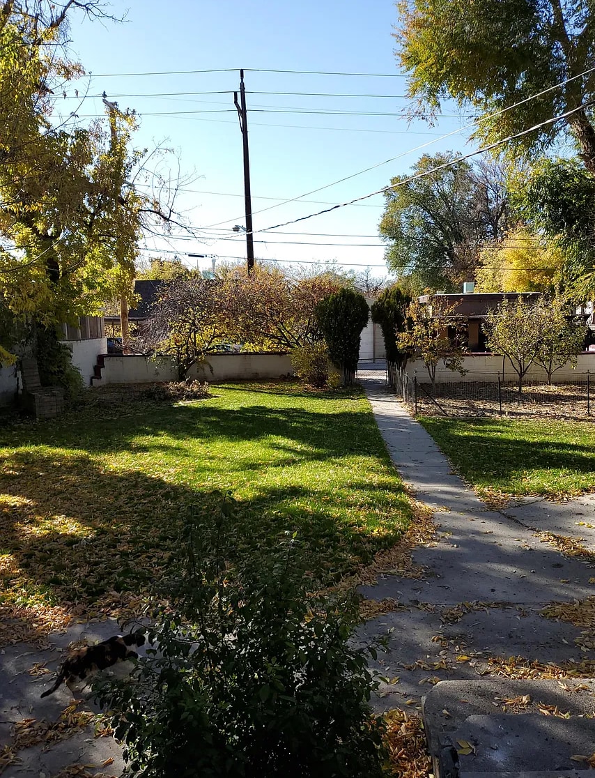 Back Yard 2 - 2284 S 900 E
