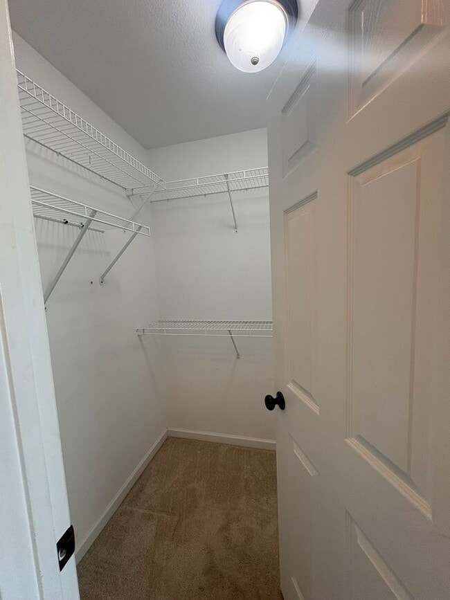 Building Photo - 4 Bedroom 3 Bath House