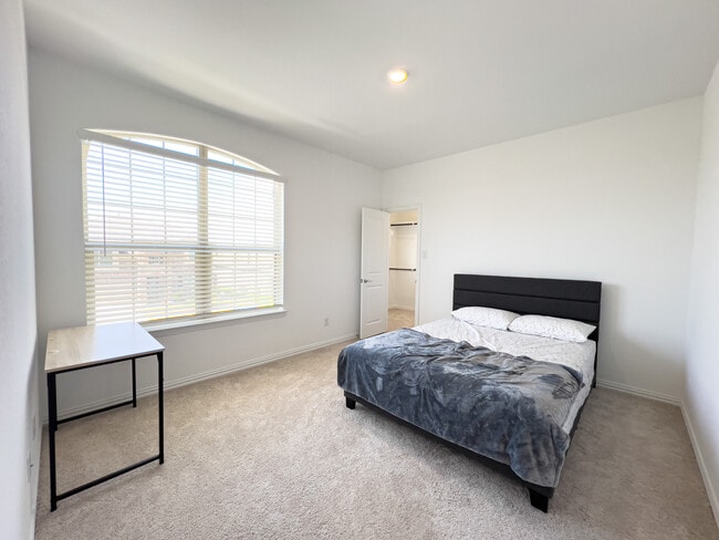 Building Photo - 2533 Olvera Ct