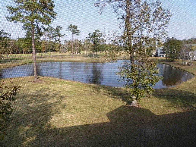 Building Photo - 541 White River Dr